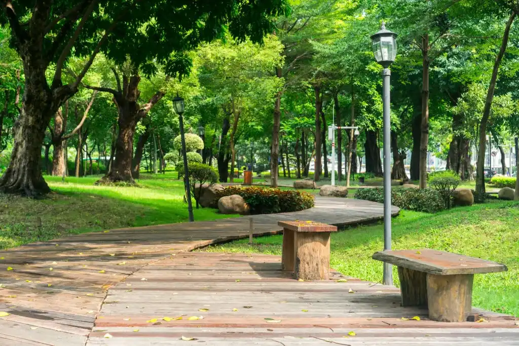 Best solar pathway lights