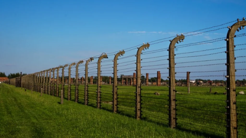 Solar Electric Fence