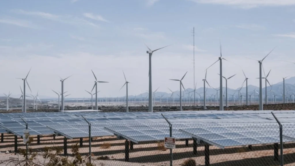 Solar Electric Fence