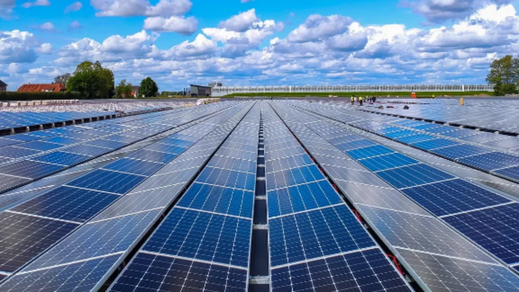 Longi Solar Panels