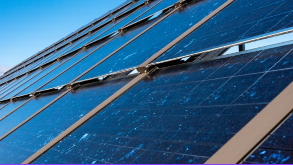 Longi Solar Panels