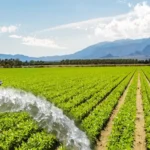 Solar Water Sprinklers
