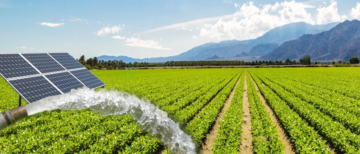 Solar Water Sprinklers