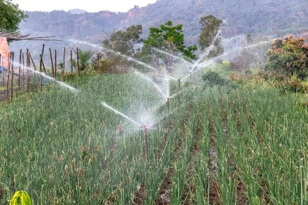 Solar Water Sprinklers